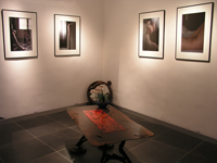 Demissy Franck,sculptures & design :: Monchal Ludovic, Photos