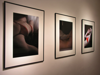 Demissy Franck,sculptures & design :: Monchal Ludovic, Photos
