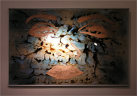 Le Regard - 100x70cm - 590 euros