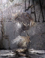 Pax - 32 x 42 cm - 30 ex - 100 euros