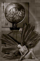  Shoot - 109 x 74 cm - 30 ex - 650 euros